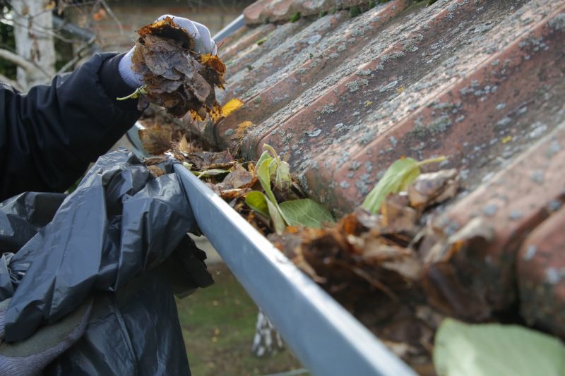 Fall Gutter Cleaning